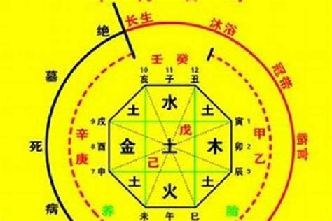 五行忌土|八字忌土是什么意思